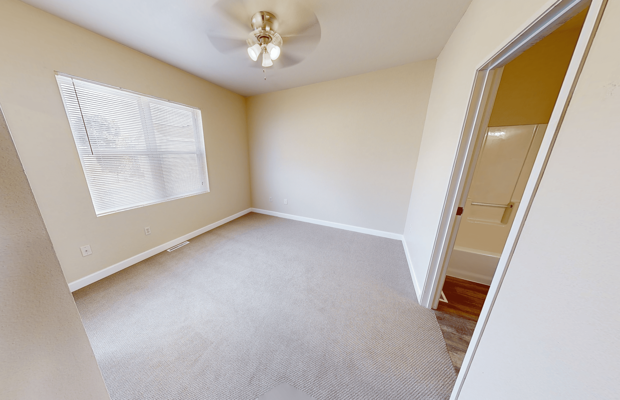 Gallery Photo 11
